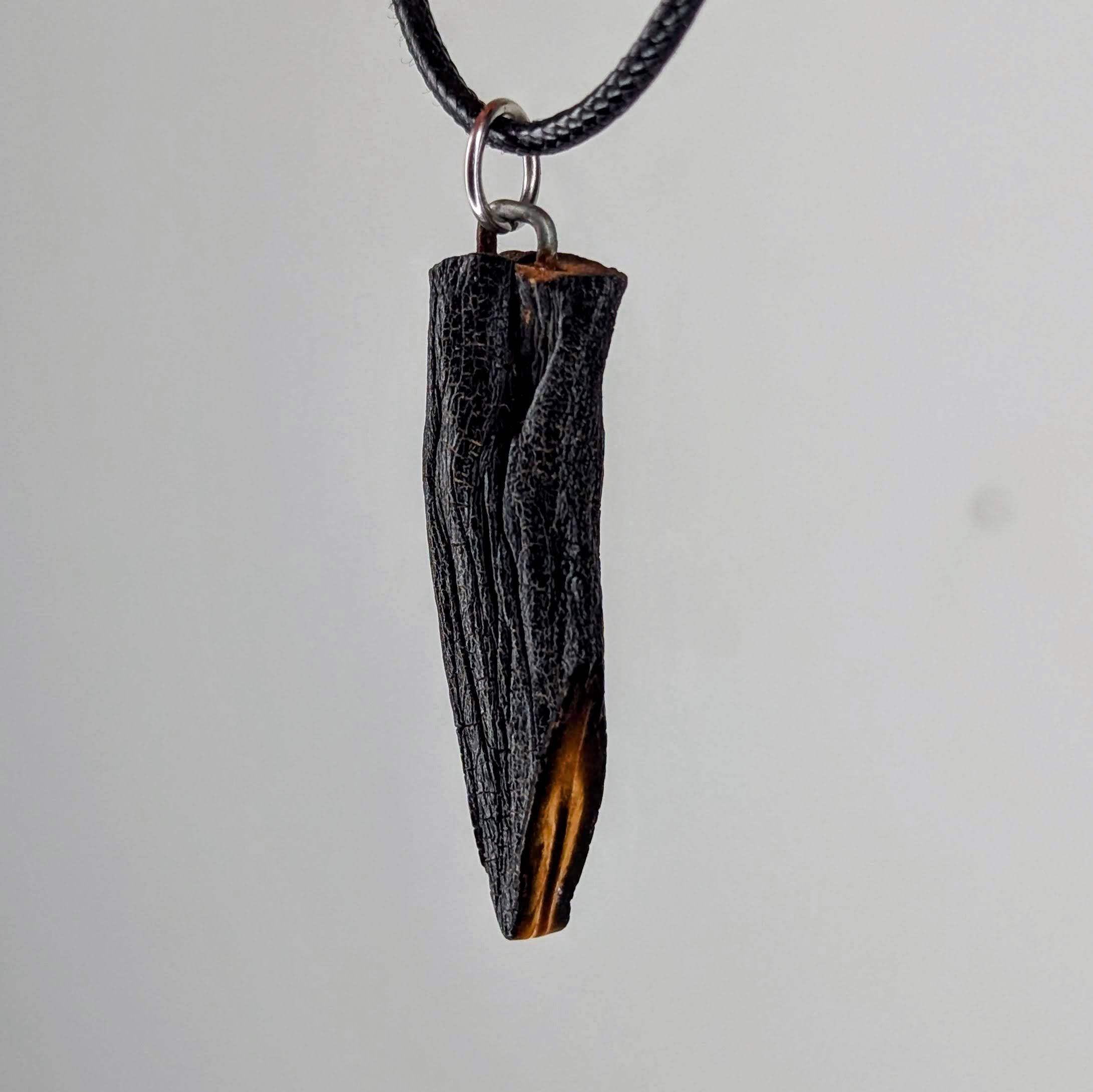Caulonaria Necklace by Versiliy