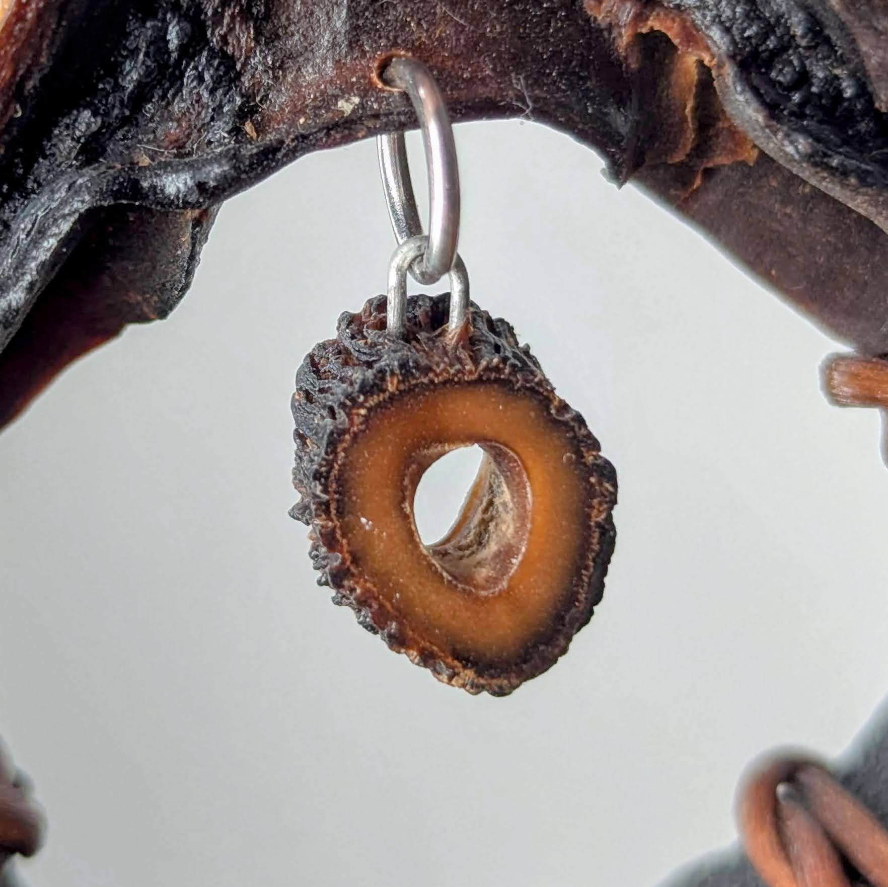 Sarcolaria by Versiliy - product image 2 for Resin Society
