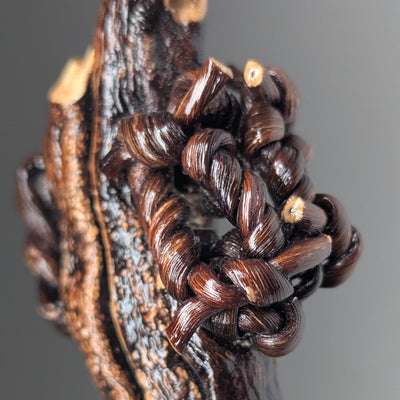 Padocystis by Versiliy - product image 2 for Resin Society