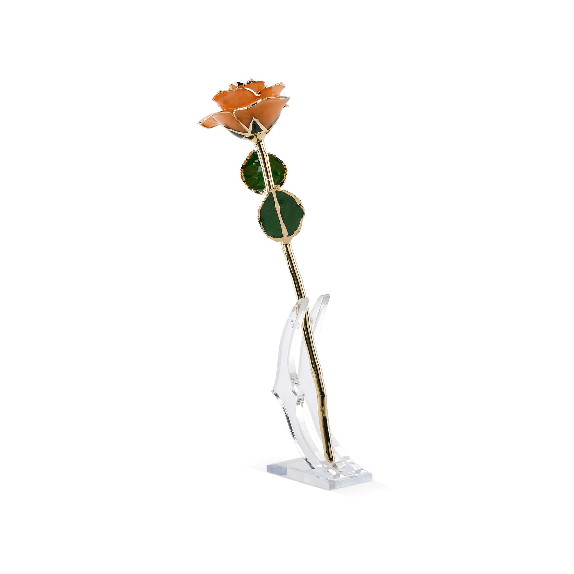 Timeless Rose (Pear) by ROSEPHORIA - main product image for Resin Society