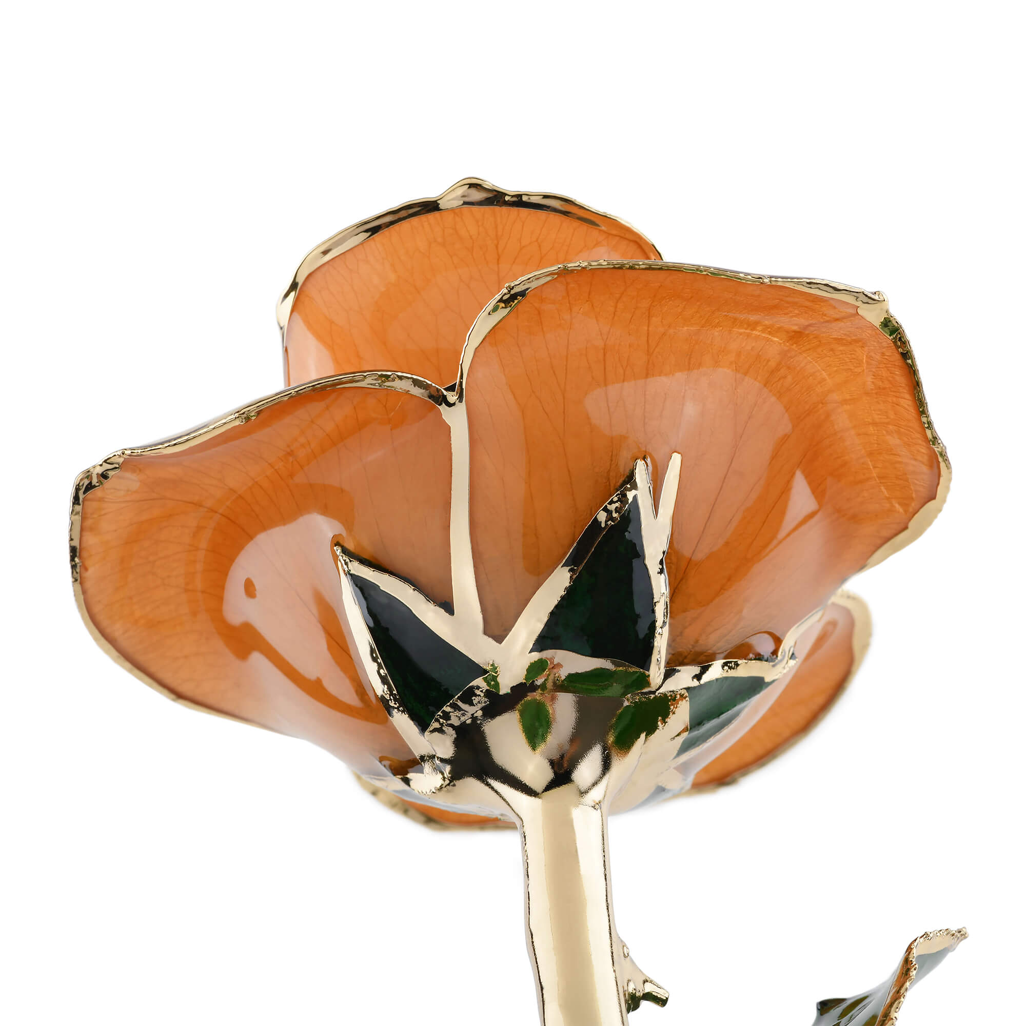 Timeless Rose (Pear) by ROSEPHORIA - product image 4 for Resin Society