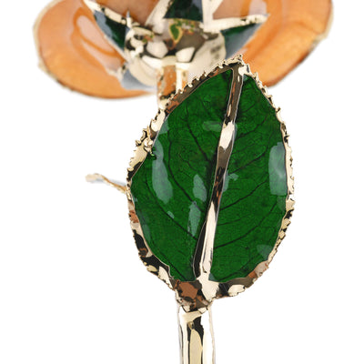 Timeless Rose (Pear) by ROSEPHORIA - product image 5 for Resin Society