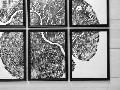 Set of six 12x16 inch handmade woodcut prints of Pennsylvania sugar maple trees by lintonart