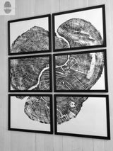 Six black-framed prints forming a composite close-up of a cross-section of a tree trunk showing detailed growth rings and cracks on white background.