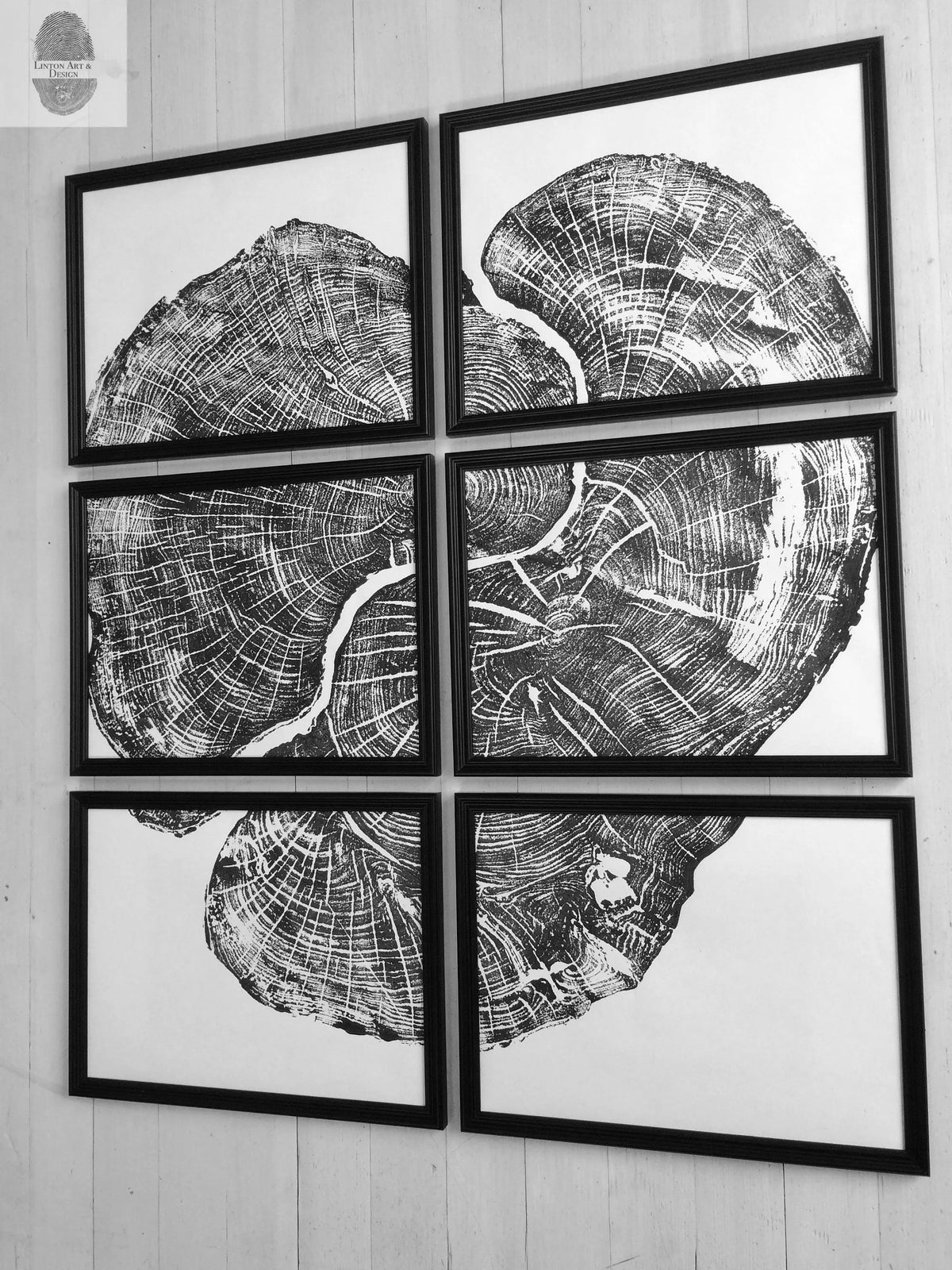 Six black-framed prints forming a composite close-up of a cross-section of a tree trunk showing detailed growth rings and cracks on white background.