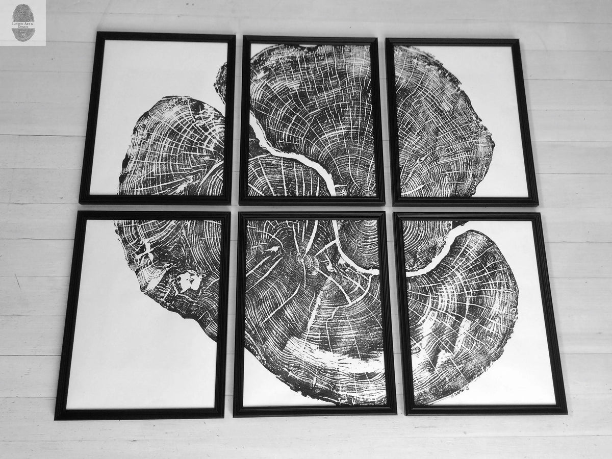 Black and white detailed print of Pennsylvania Sugar Maple tree rings split across six framed panels arranged in two rows of three on a light wooden floor.