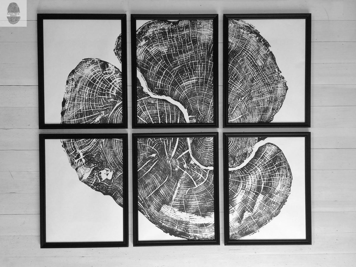 Black and white six-panel wall art showing a detailed cross-section of a Pennsylvania Sugar Maple tree with visible growth rings and cracks.