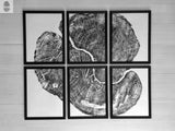 Six black-framed prints arranged in two rows of three, collectively depicting a detailed black and white cross-section of a tree trunk with visible growth rings and cracks.