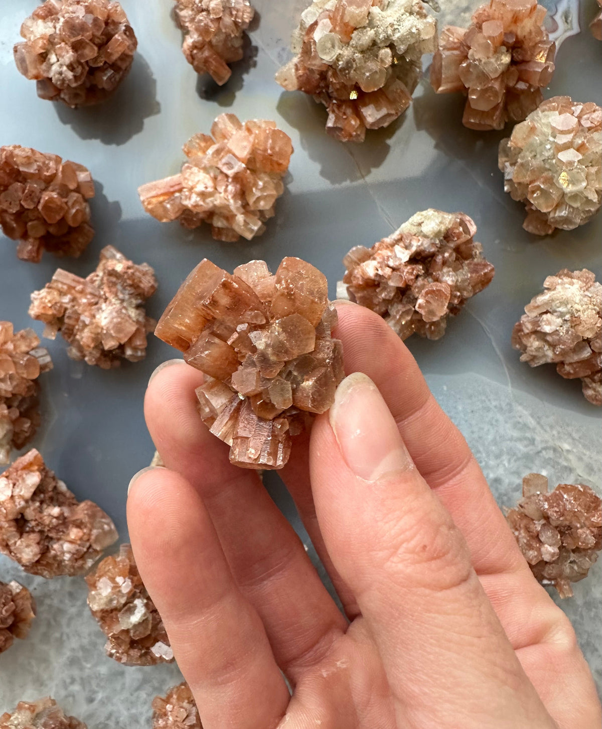 Hand holding a small cluster of translucent peach and white aragonite crystals with multiple geometric faces, surrounded by similar clusters on a gray surface.