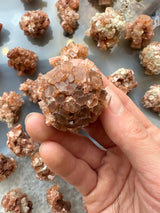 Hand holding a reddish-brown aragonite cluster with crystalline structures, surrounded by similar clusters on a light surface.