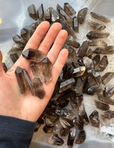 Hand holding several translucent smoky quartz crystal points with a deeper brown gradient, set against a larger collection of similar crystals on a light surface.