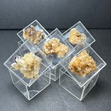 Five yellow to light brown crystalline mineral specimens displayed in clear acrylic boxes on a dark gray surface, arranged in a loose cluster seen from above.