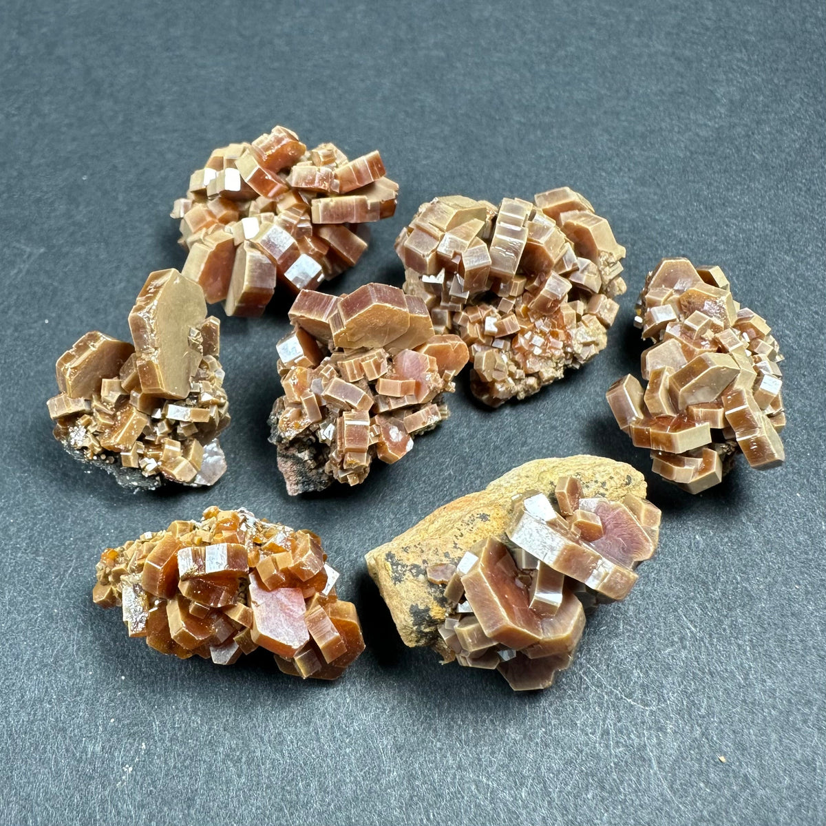 Seven reddish-brown vanadinite mineral clusters with hexagonal crystals, varying in size, arranged on a flat dark background.