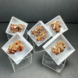 Five clusters of brownish-orange aragonite crystals with geometric, blocky shapes displayed in white square holders on clear acrylic stands against a dark background.