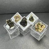 Five small mineral samples in clear acrylic boxes, featuring dark green to brown crystal clusters with rough, jagged textures, arranged on a dark gray surface.