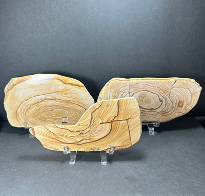 Large Picture Jasper plate showcasing natural brown and beige mineral patterns.