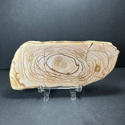 Picture Jasper Plate (L) from Morocco