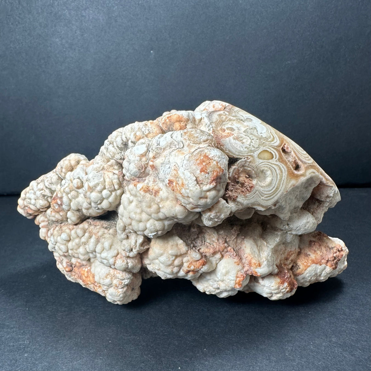 A knobby, irregular cave onyx stalactite with creamy white and rust-orange hues, showing intricate surface textures and natural mineral patterns.