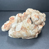 Irregularly shaped piece of cave onyx stalactite with creamy beige, orange, and white bulbous formations and concentric banding patterns on a dark gray surface.