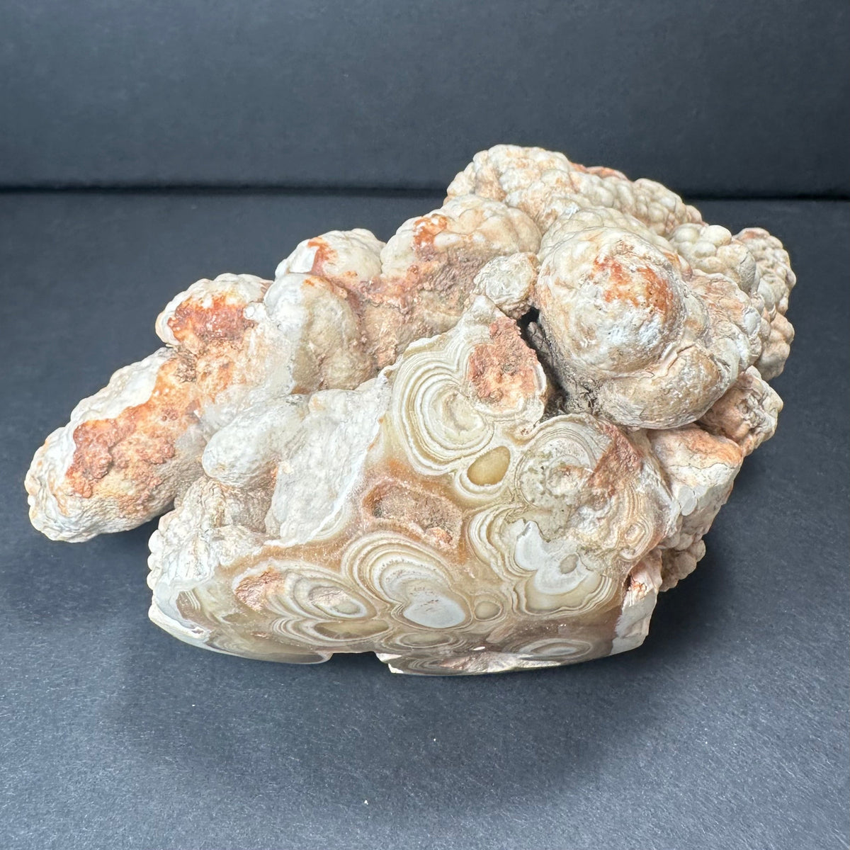 Irregularly shaped piece of cave onyx stalactite with creamy beige, orange, and white bulbous formations and concentric banding patterns on a dark gray surface.