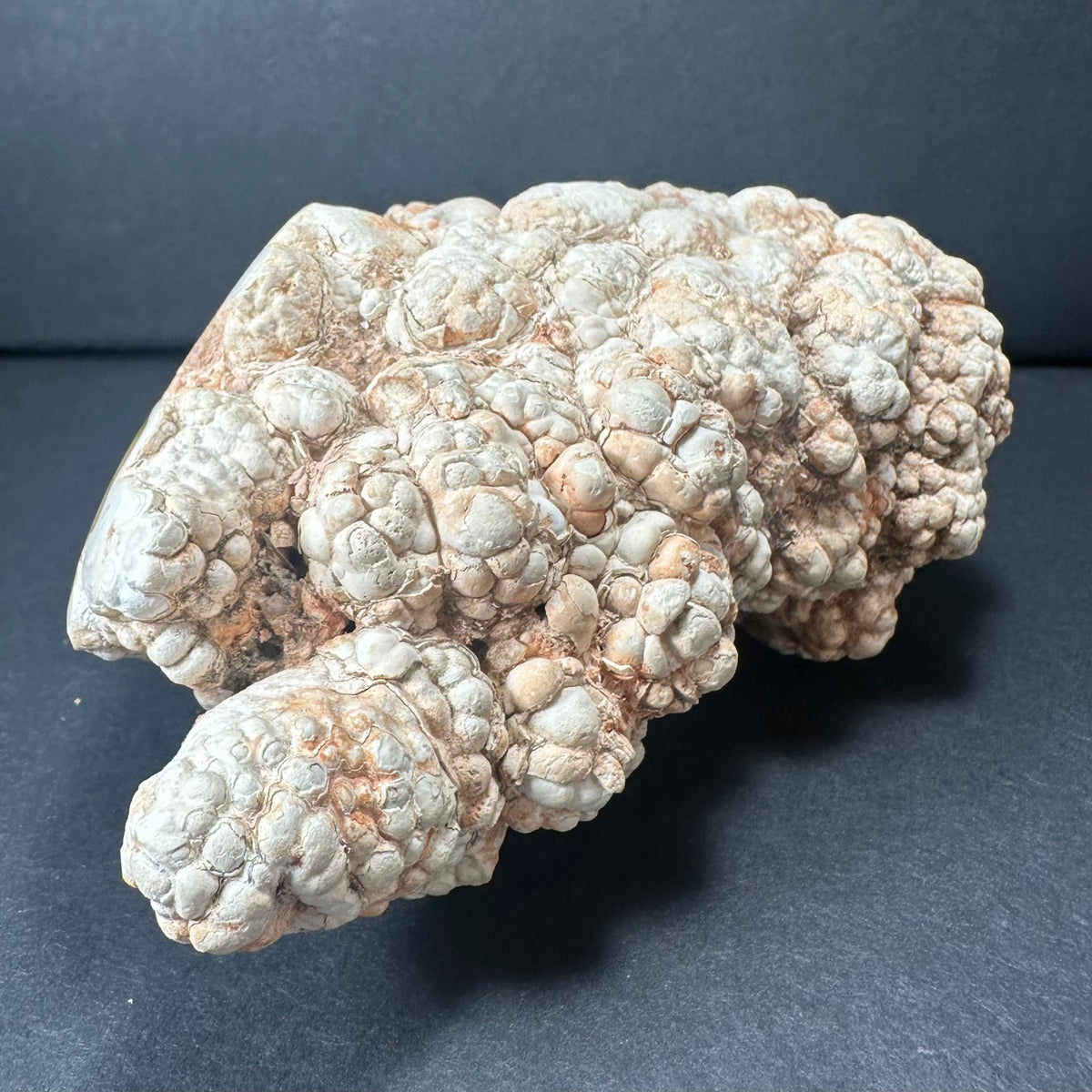 Irregularly shaped cave onyx stalactite with layered, bulbous texture and pale cream to light brown coloration, displayed against a dark background.