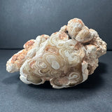 Irregularly shaped cave onyx specimen from Kokoweef Cavern, featuring concentric circular patterns and earthy beige and orange hues against a dark background.