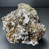 Cluster of translucent white calcite crystals interspersed with metallic gold marcasite deposits on a dark mineral matrix against a black background.