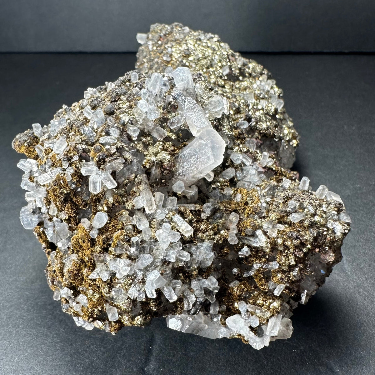 Cluster of translucent white calcite crystals interspersed with metallic gold marcasite deposits on a dark mineral matrix against a black background.