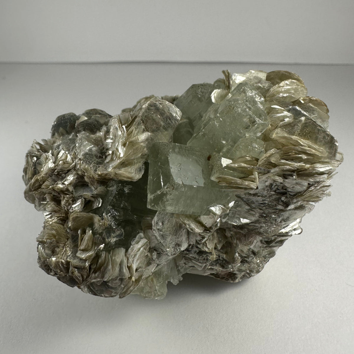 Cluster of translucent pale green aquamarine crystals surrounded by silvery muscovite flakes with creamy albite, displayed on a light gray surface.