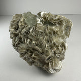 Cluster of pale green aquamarine crystals nestled among silvery, flaky muscovite sheets with a hint of white albite on a light background.