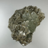 Pale green aquamarine crystals clustered with shiny, layered silver muscovite and whitish albite, showcasing a rough, textured mineral specimen on a neutral background.