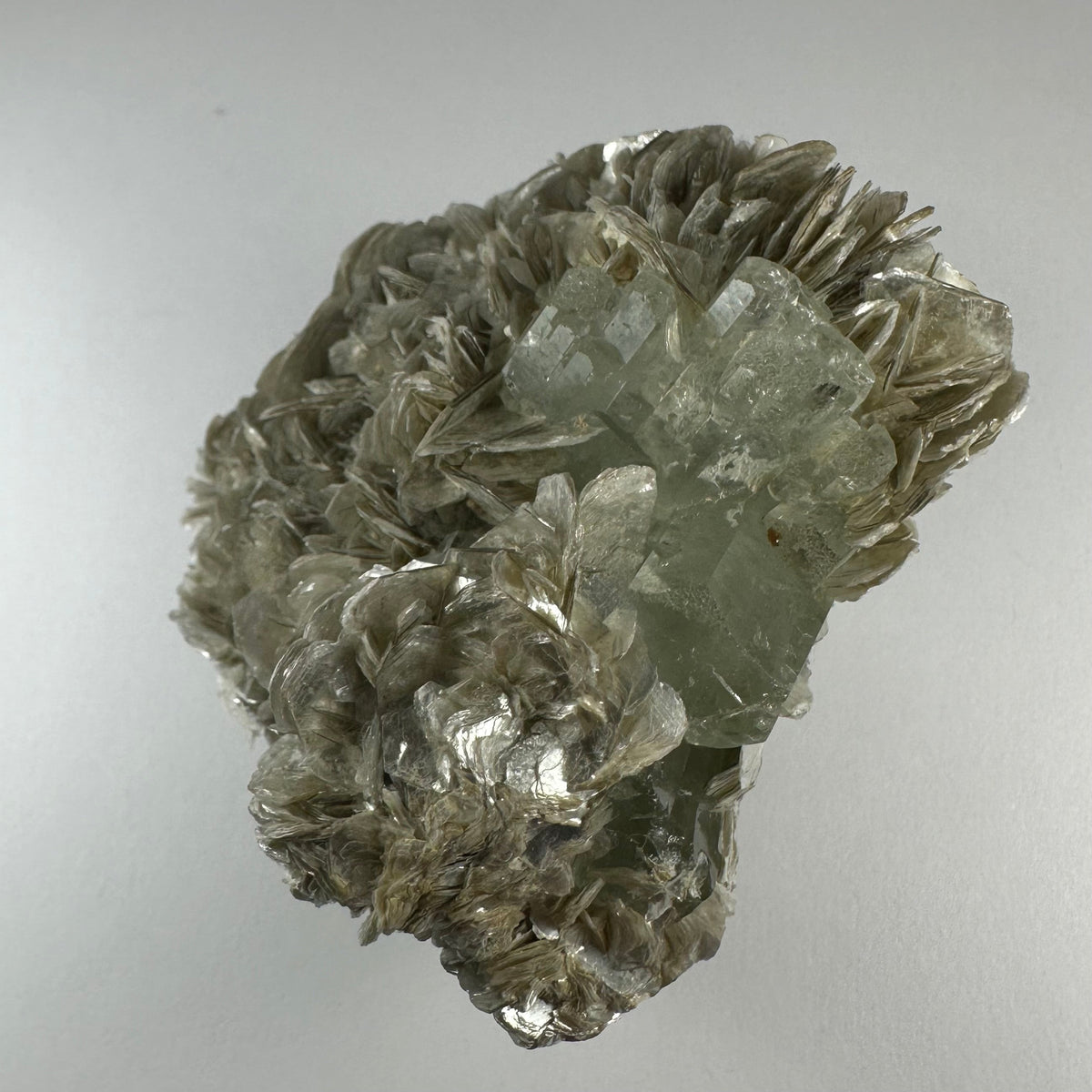 Pale green aquamarine crystals clustered with shiny, layered silver muscovite and whitish albite, showcasing a rough, textured mineral specimen on a neutral background.