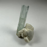 Translucent pale blue-green aquamarine crystal standing upright next to clustered off-white albite crystals on a neutral gray background.