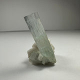 Transparent pale blue-green aquamarine crystal with vertical striations on a white albite mineral base, photographed on a plain light gray background.