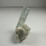 Translucent pale blue aquamarine crystal standing vertically atop clustered white albite mineral formations, set against a plain light gray background.