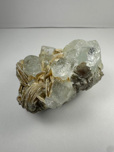 Close-up image of Aquamarine with Muscovite mineral specimen from Shigar Valley, Skardu, Pakistan, showing blue aquamarine crystals on silvery muscovite matrix.