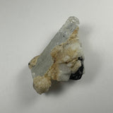 Clear aquamarine crystal embedded in white albite with tan mineral deposits and a small black tourmaline section, shown against a plain white background.