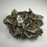 Cluster of shiny, silver-gray muscovite crystals surrounding a translucent, aquamarine gemstone on a neutral background, highlighting layered, flaky textures and a faceted central gem.