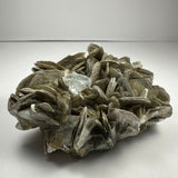 Cluster of overlapping, silvery-brown muscovite crystals with a translucent aquamarine crystal embedded near the center on a neutral background