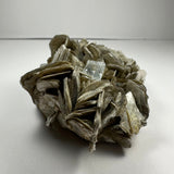 Cluster of layered, silvery-gray muscovite crystals with a small, translucent aquamarine crystal embedded near the center, photographed against a plain white background.