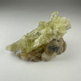 Pale yellow translucent Brazilianite crystal cluster with multiple angular points resting on a beige mineral base, shown against a neutral gray background.