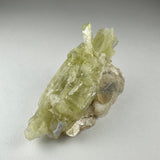 Pale yellowish-green Brazilianite crystal cluster with elongated prismatic formations on a beige and white matrix, shown on a plain light gray background.