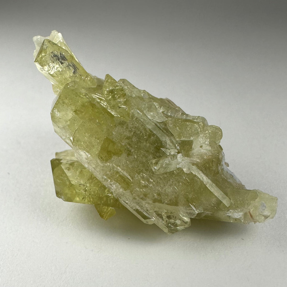 Light yellow translucent Brazilianite crystal cluster with multiple angular, elongated points on a plain white background.