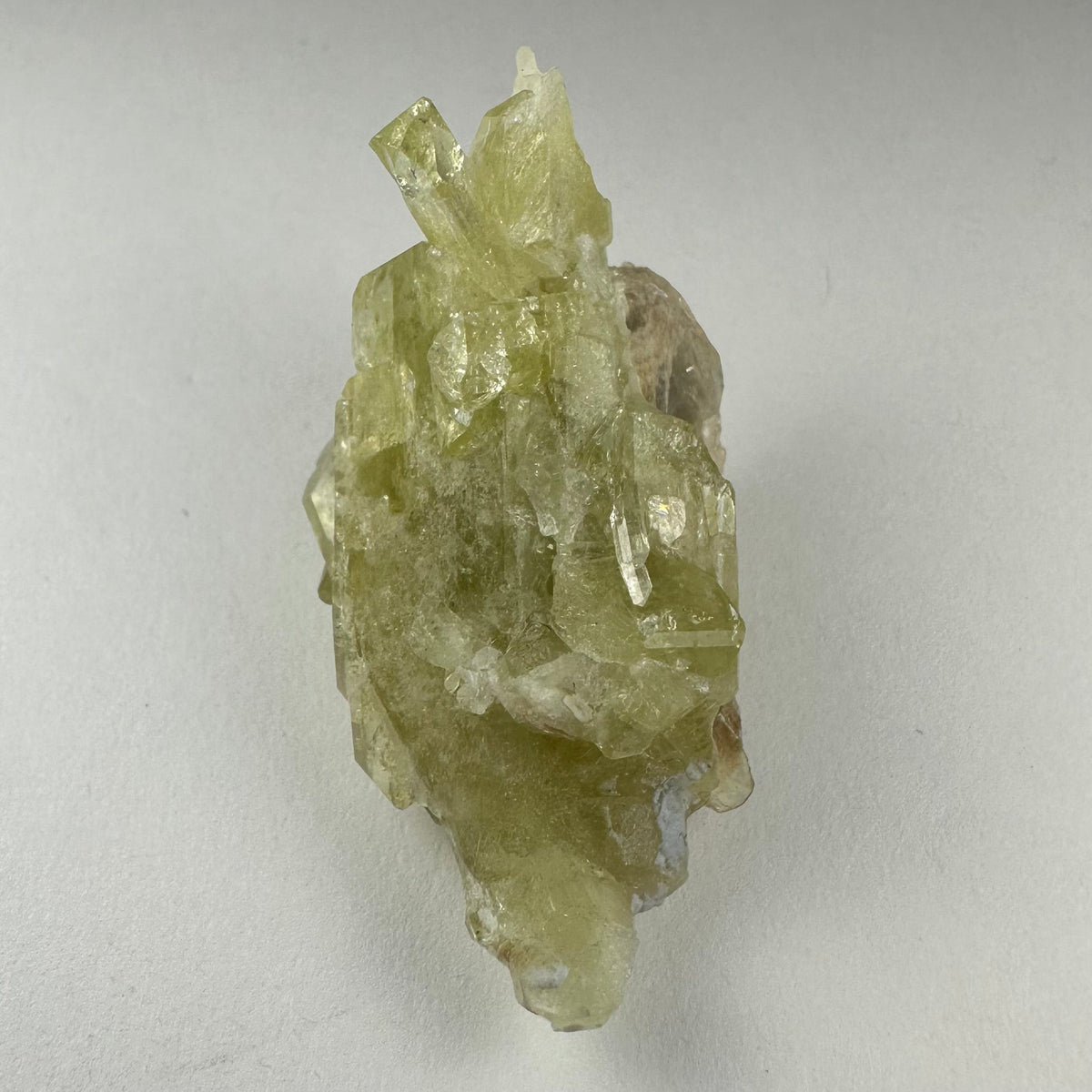 Translucent yellow-green Brazilianite crystal cluster with multiple angular, elongated facets shown against a neutral light background.