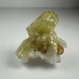 Pale yellow Brazilianite crystals with hexagonal shapes resting on white Albite matrix with small brown mineral inclusions, set against a neutral gray background.