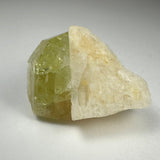 Translucent pale yellow Brazilianite crystal attached to opaque white Albite mineral with rough texture, shown on a neutral background.