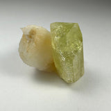 Translucent yellow-green Brazilianite crystal adjacent to an off-white, irregular Albite mineral on a plain white surface.