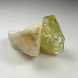 Yellow translucent Brazilianite crystal naturally attached to off-white Albite mineral against a light background.