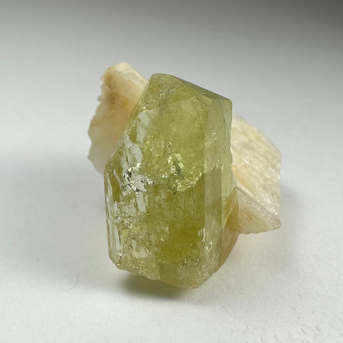 Polished translucent yellow-green brazilianite crystal resting on a rough, cream-colored albite mineral base against a plain gray background.