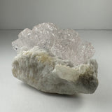 Cluster of naturally etched pale pink kunzite crystals on a rough white mineral base, shown against a plain gray background.
